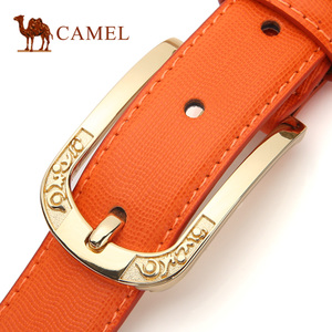 Camel/骆驼 DW235003-04