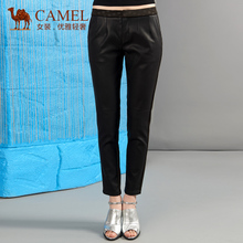 Camel/骆驼 C5CK10458