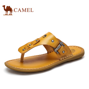 Camel/骆驼 A622321113