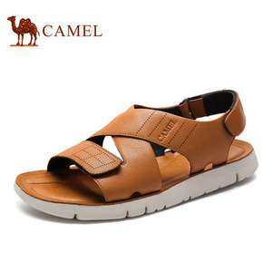 Camel/骆驼 A622001172