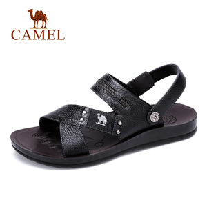 Camel/骆驼 A622287712