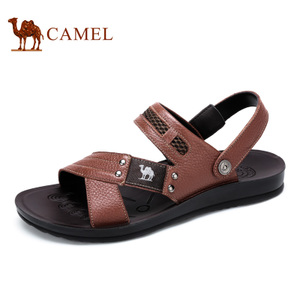 Camel/骆驼 A622287712
