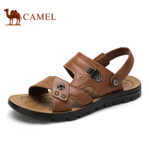 Camel/骆驼 A522211402