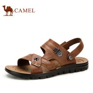 Camel/骆驼 A522211402