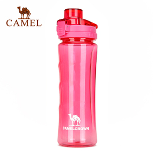Camel/骆驼 A6W3G6104