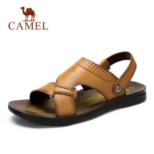 Camel/骆驼 A622211852