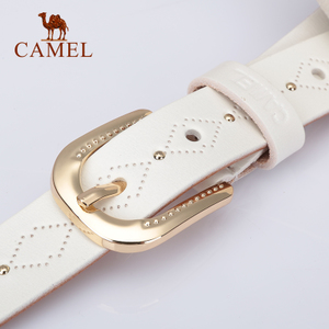 Camel/骆驼 DW242015-03
