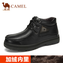 Camel/骆驼 82211616