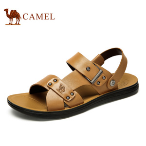 Camel/骆驼 A622211752