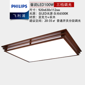 Philips/飞利浦 100W