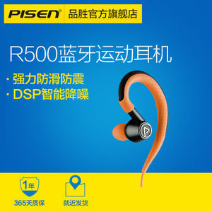 Pisen/品胜 R500