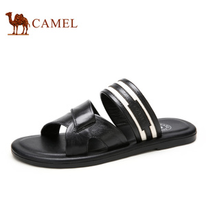 Camel/骆驼 A622078043