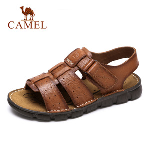 Camel/骆驼 A622396122