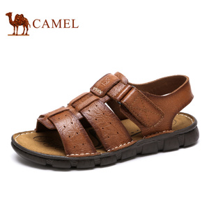 Camel/骆驼 A622396122