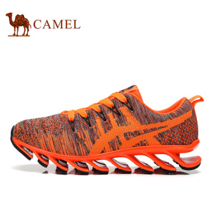 Camel/骆驼 A63346600