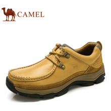 Camel/骆驼 82302613