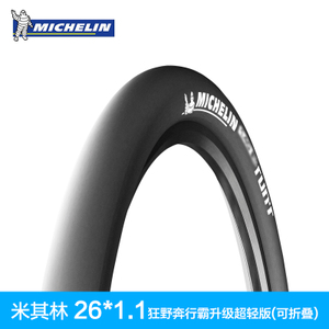 Michelin/米其林 461094