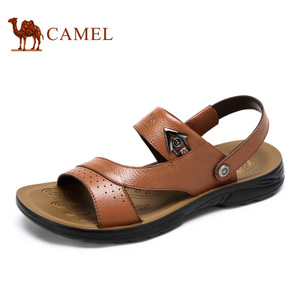 Camel/骆驼 A622211822