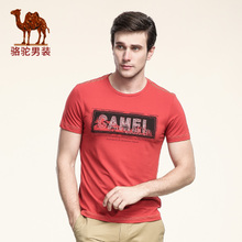 Camel/骆驼 X6B100305