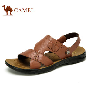 Camel/骆驼 A622211882