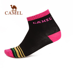 Camel/骆驼 A6W3B3118