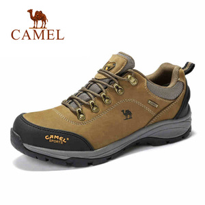 Camel/骆驼 A632026655