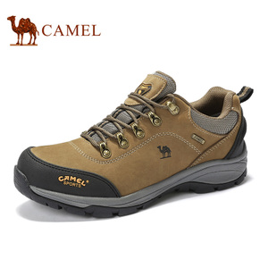 Camel/骆驼 A632026655