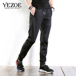 Yezoe/英佐 6011