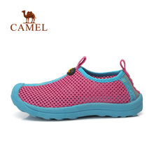 Camel/骆驼 92162601-1