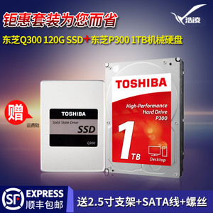 Toshiba/东芝 P300-1TBQ300-120g