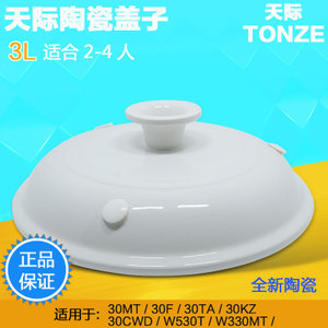 Tonze/天际 30TA