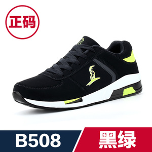 大漠公羊 B508