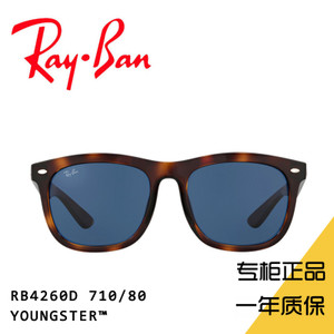 Rayban/雷朋 RB4260D