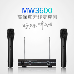 Edifier/漫步者 mw3600