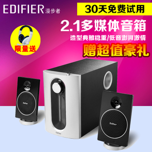 Edifier/漫步者 R301T08