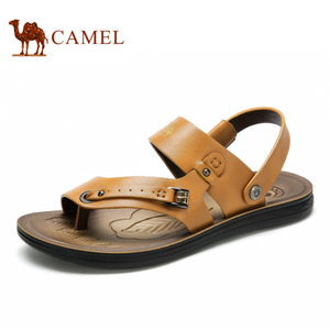 Camel/骆驼 A622211772