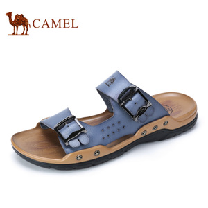 Camel/骆驼 A622321093