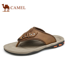 Camel/骆驼 A622381093