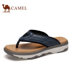 Camel/骆驼 A622001143