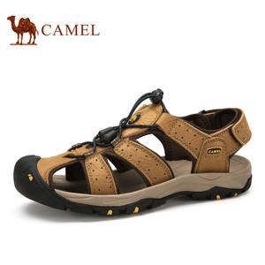 Camel/骆驼 A522309167