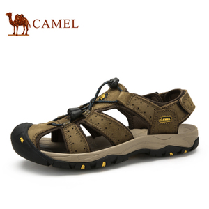 Camel/骆驼 A522309167