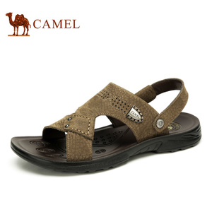 Camel/骆驼 A622211812