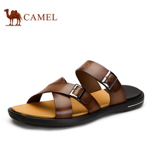 Camel/骆驼 A522266183