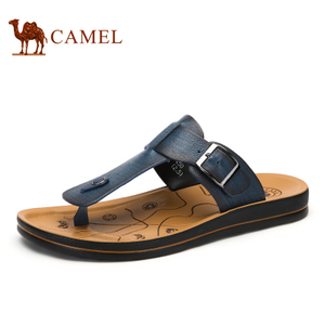 Camel/骆驼 A522263053