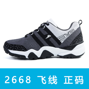 旺迪 2668