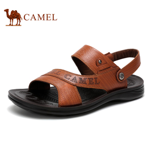 Camel/骆驼 A522211362