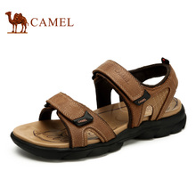 Camel/骆驼 A522147112
