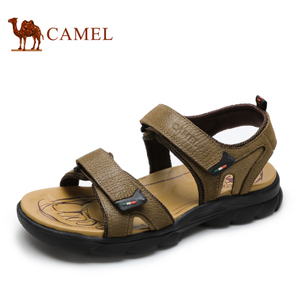 Camel/骆驼 A522147112