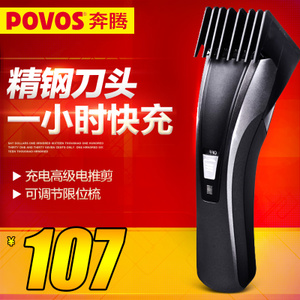 Povos/奔腾 PR3031