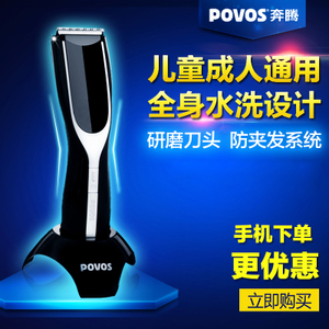 Povos/奔腾 PW202